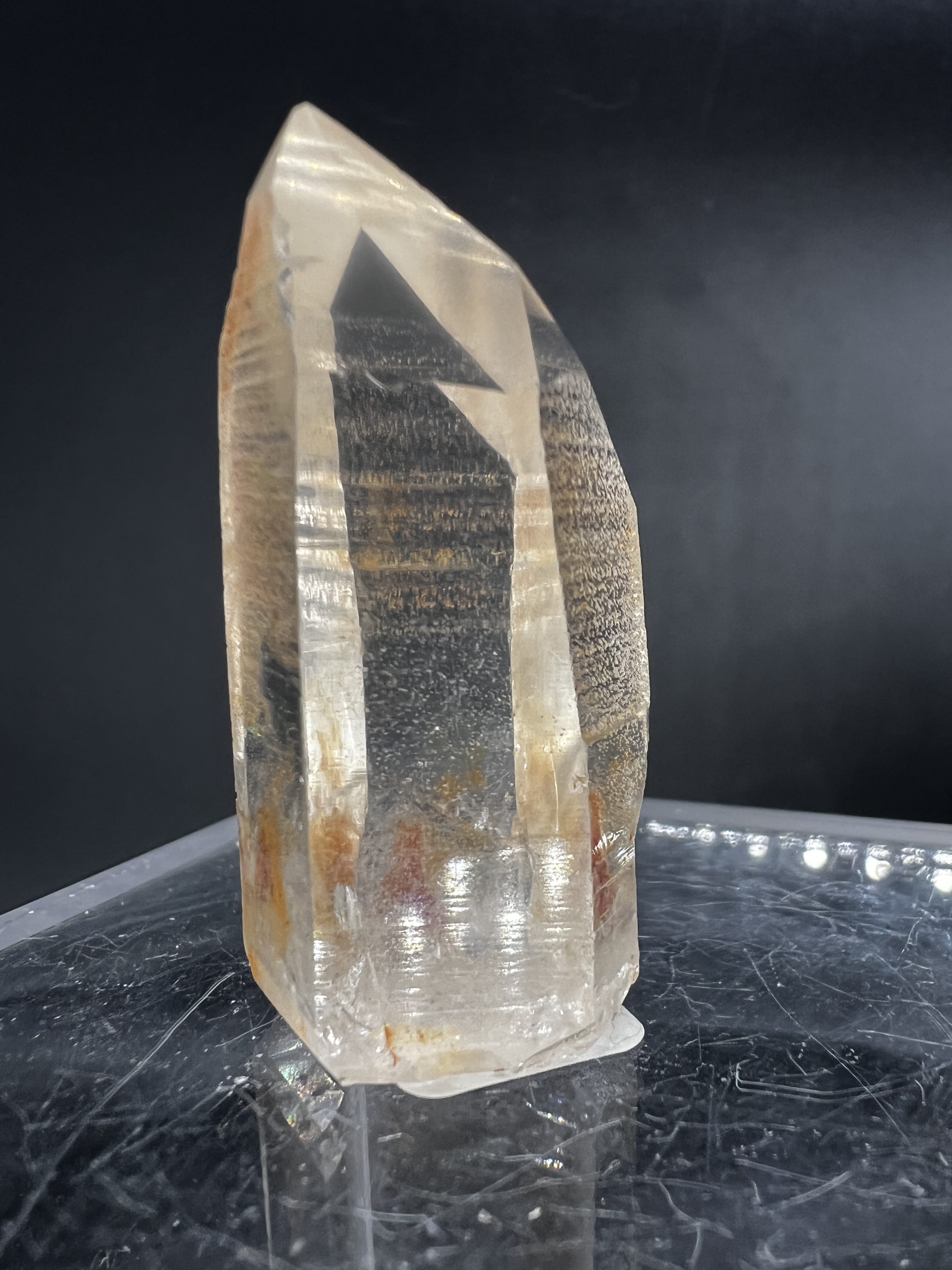 BAUM MUON 無音 Lime Crystal BIOVORTEX Mandarin Lime Dogz - Alpine Seed Group